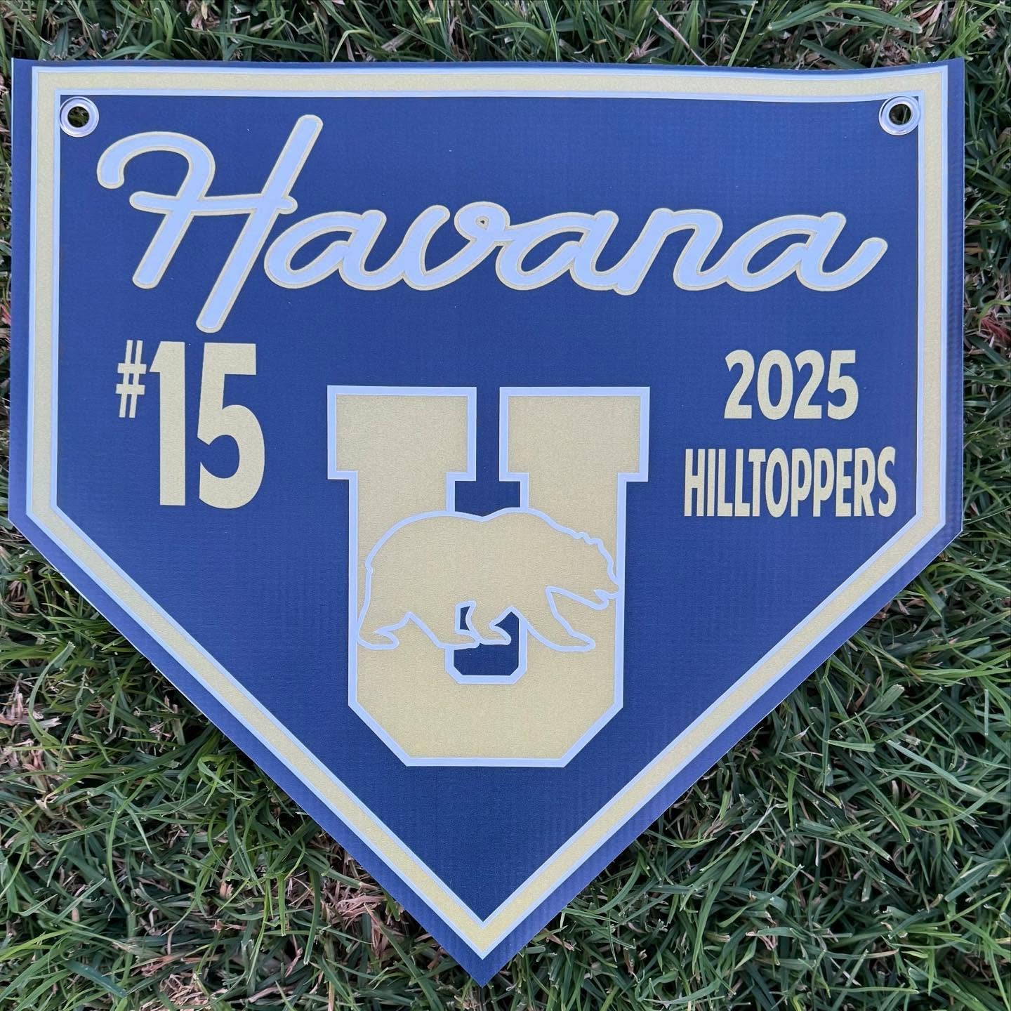 BANNER- Home Plate Pennants (15x15 with grommets)