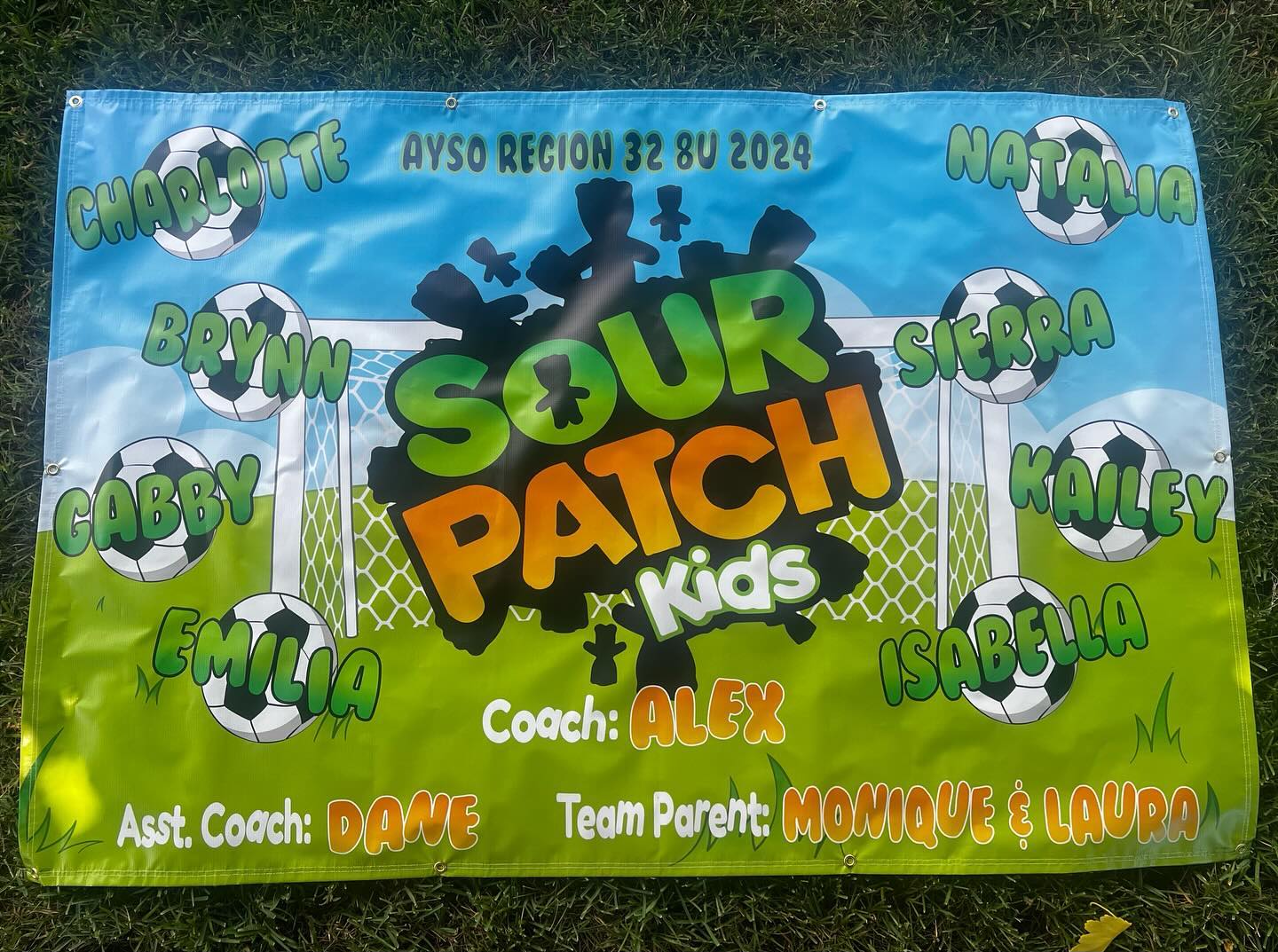 BANNER- Full Banner with Hems & Grommets