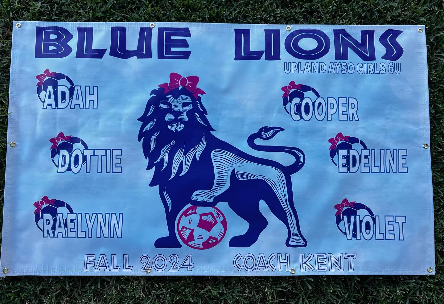 BANNER- Full Banner with Hems & Grommets