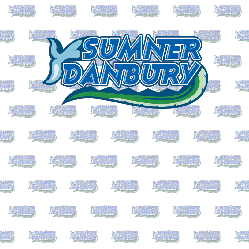 BANNER- Repeating Name Banner (vinyl or fabric)
